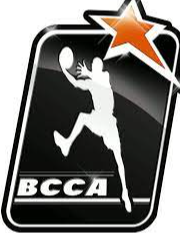 https://img.wxdgg.com/img/basketball/team/86eb4908777714248caec71cbbc0c7db.png