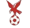 https://img.wxdgg.com/img/football/team/4802d26df935b78bb2fcdbbff36e8864.png