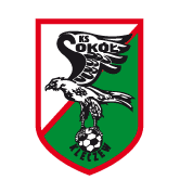 https://img.wxdgg.com/img/football/team/e6a8908dd206e2ea02d9803c82c60bba.png